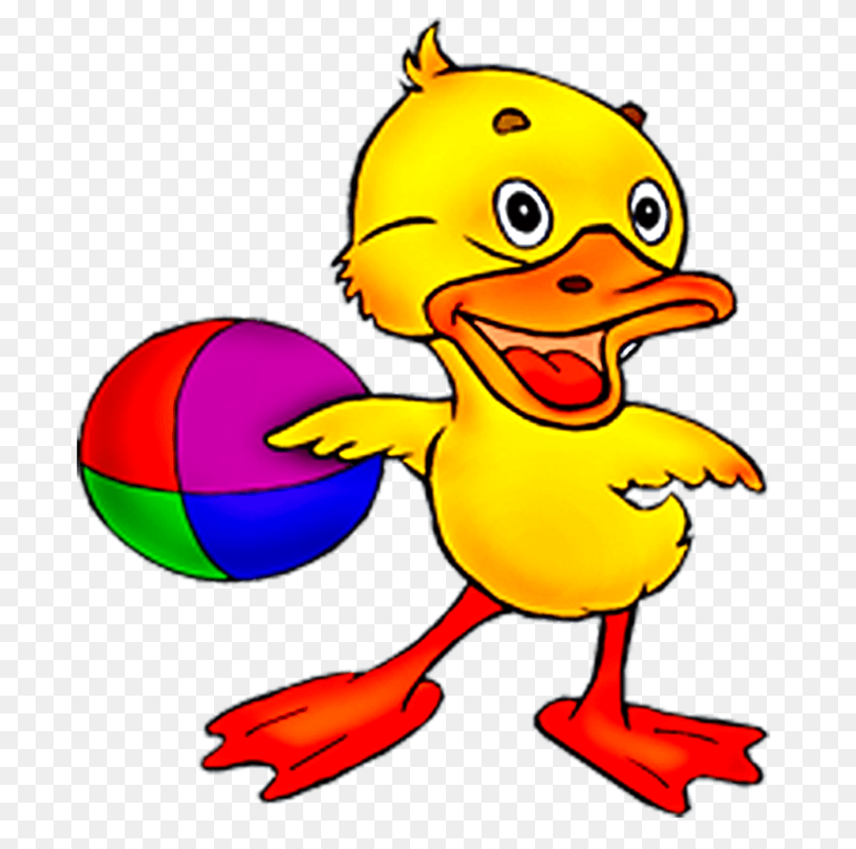 Beak Goose Cygnini Clip Art Duck, Baby, Person Free Transparent Png