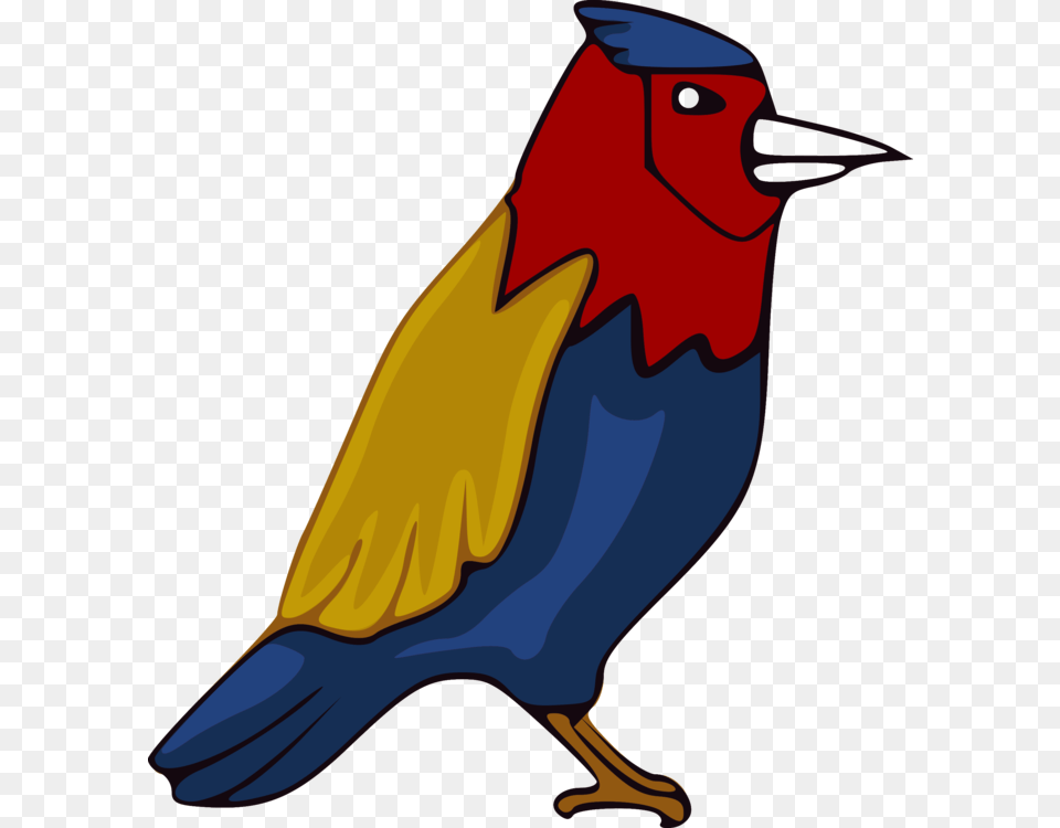 Beak Parrot Bird Budgerigar Animal, Finch, Jay, Fish, Sea Life Free Png
