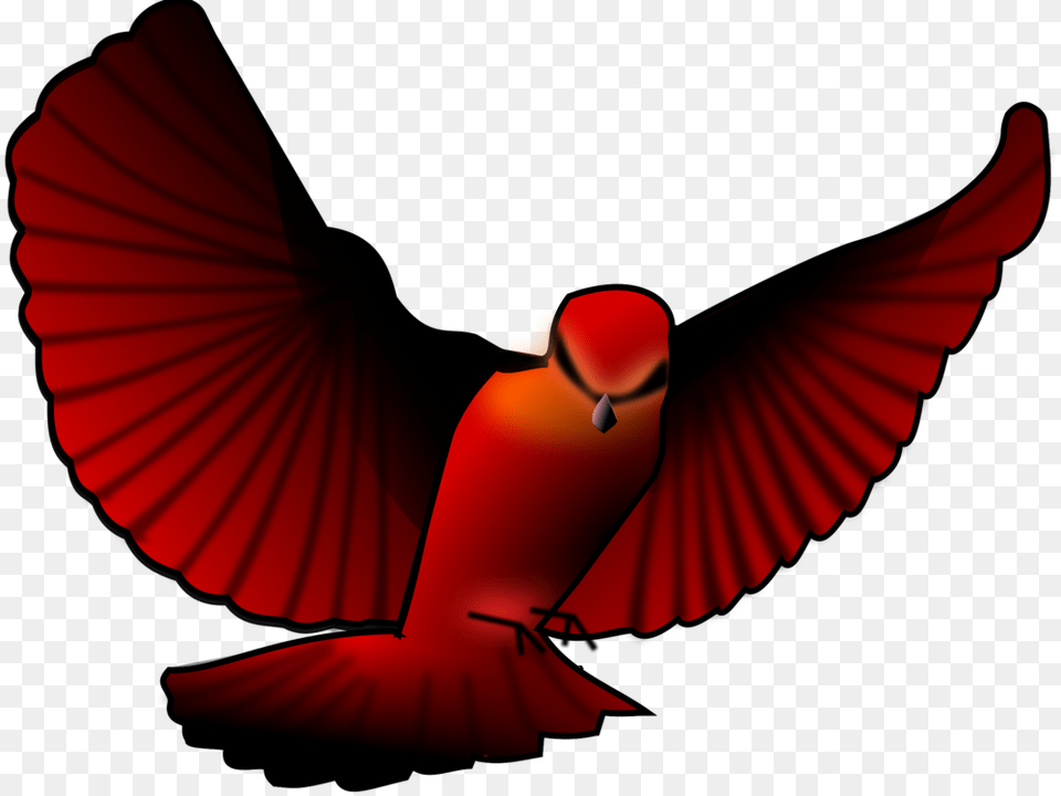 Beakwingbird, Animal, Beak, Bird, Adult Png Image