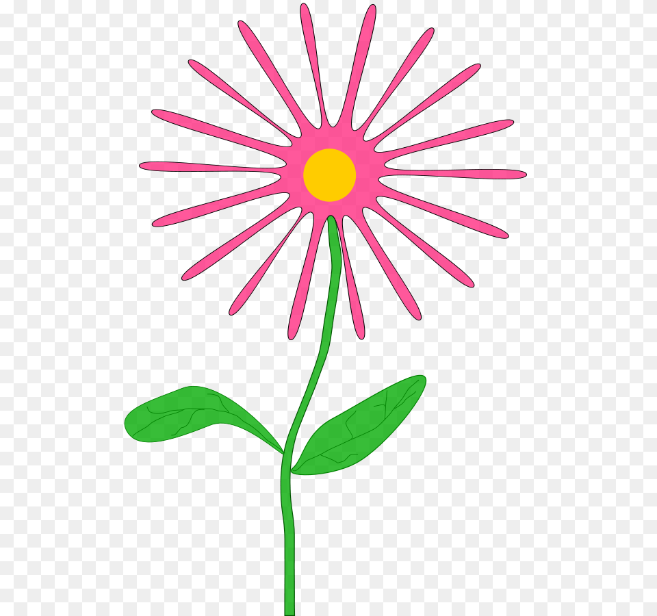 Bean Clip Art, Daisy, Flower, Plant, Petal Png Image