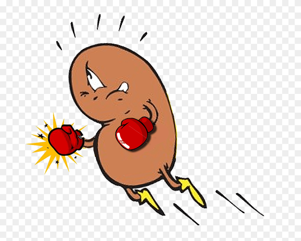 Bean Clipart Kidney Transplant, Baby, Person, Face, Head Png Image