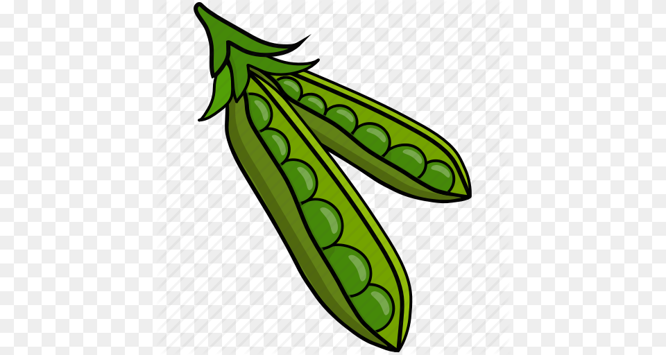 Bean Colour Food Green Peas String Vegetable Icon, Pea, Plant, Produce, Dynamite Free Png Download