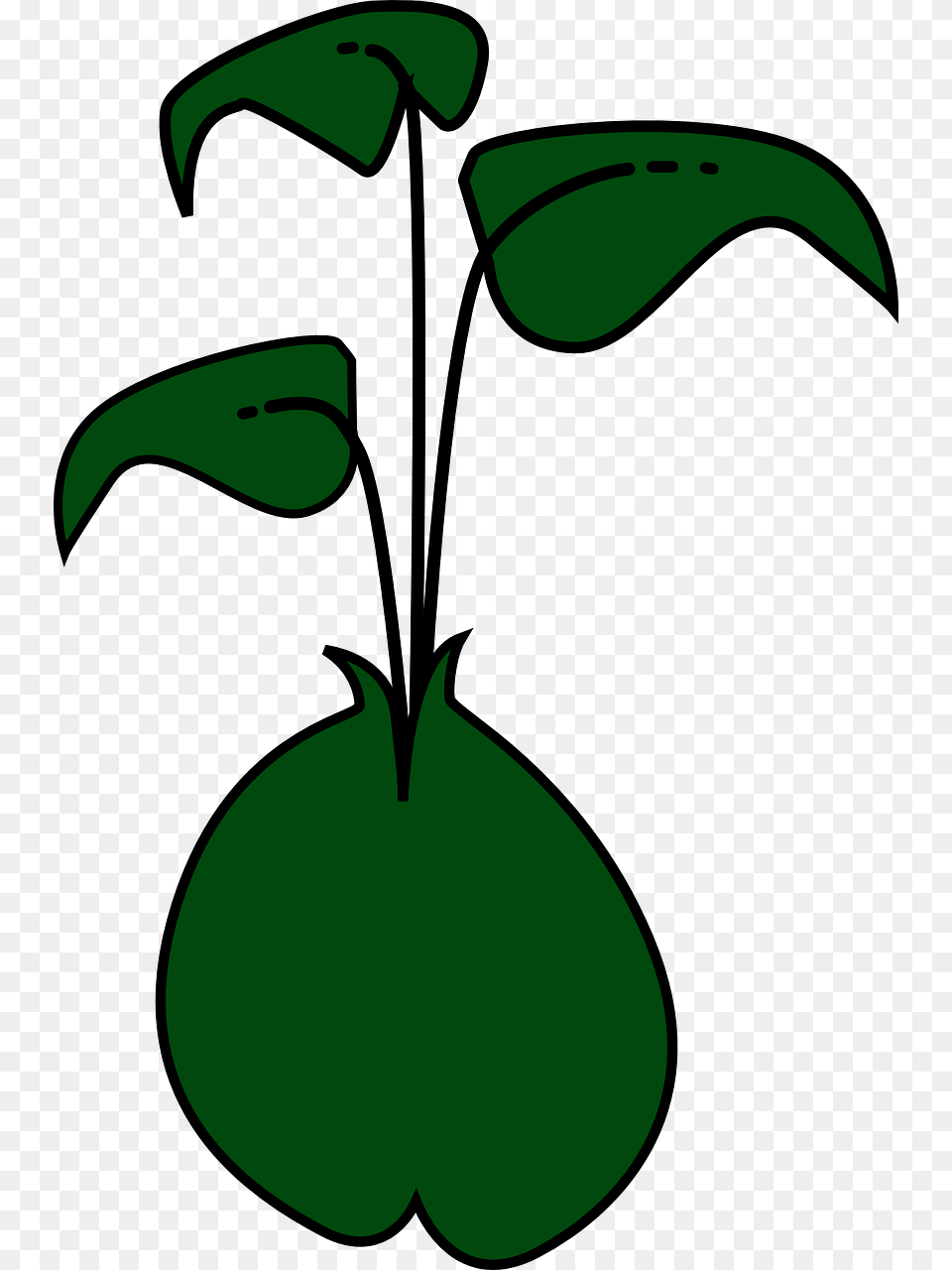 Bean Sprout Clipart, Green, Symbol, Animal, Beak Png