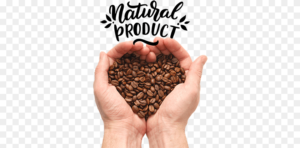 Bean To Cup Coffee Beans For Bean To Cup Machines Loving Coffee Bean Hand, Baby, Person, Food, Produce Free Png