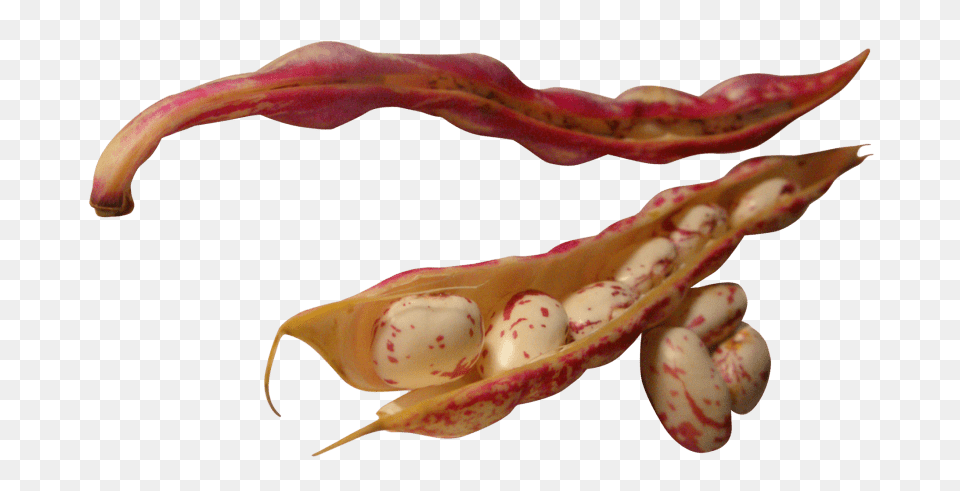 Beans, Bean, Food, Plant, Produce Free Png