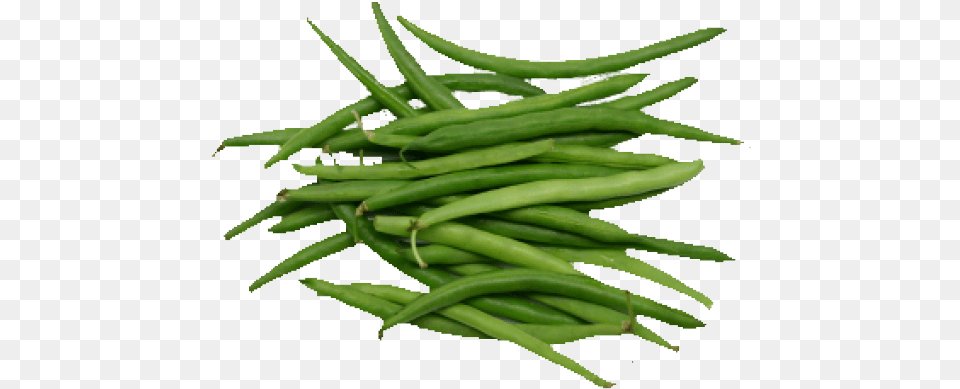 Beans Clipart String Bean Green Bean, Food, Plant, Produce, Vegetable Png