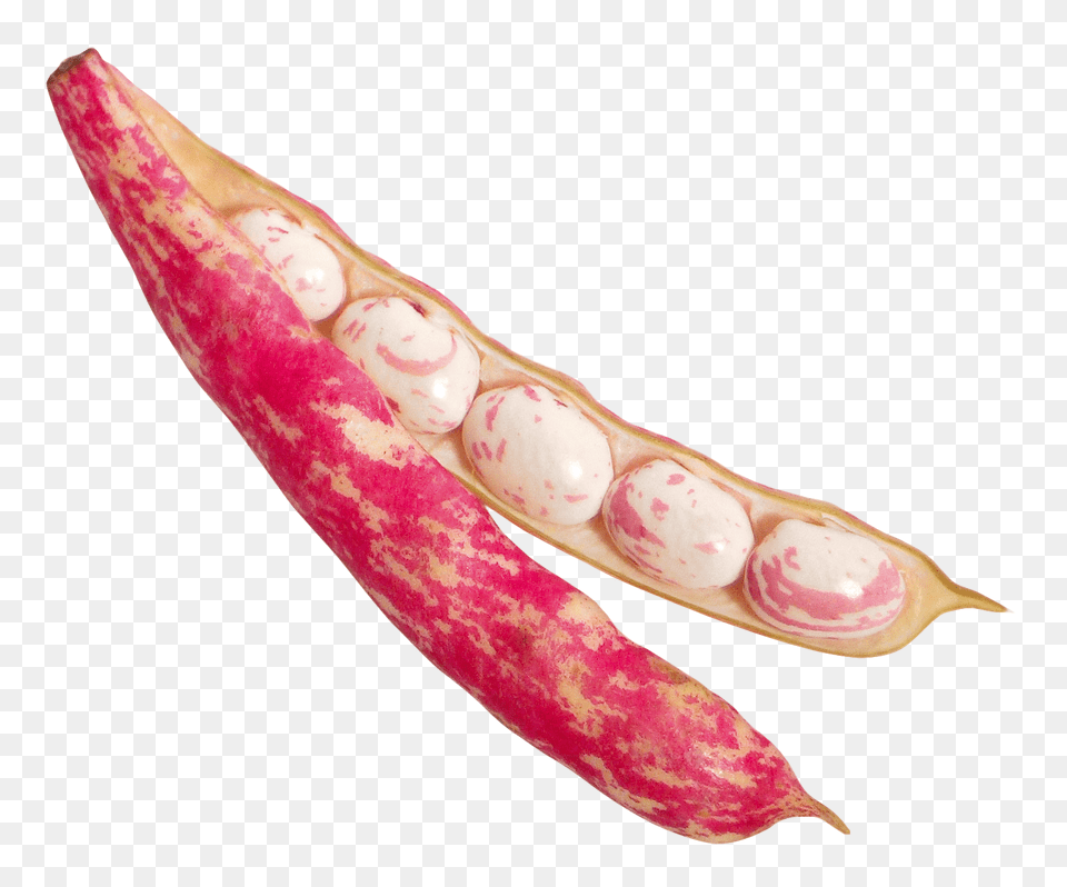 Beans Image, Food, Produce, Bean, Plant Png