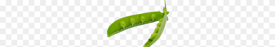 Beans Image Transparent Best Stock Photos, Food, Pea, Plant, Produce Free Png Download