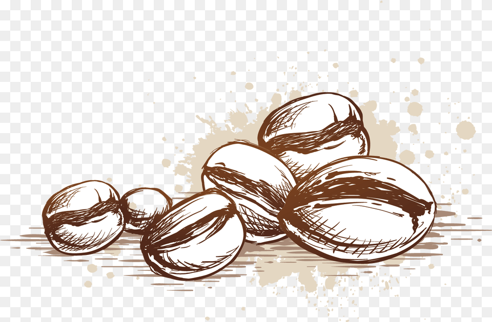 Beans Vector Coffee Seed Coffee Bean Vector, Food, Nut, Plant, Produce Free Transparent Png