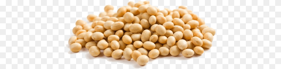 Beans Vector Soya Bean Soya, Food, Plant, Produce, Soy Free Transparent Png