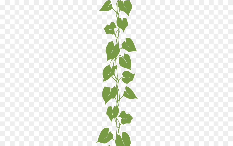 Beanstalk Final 241x Illustration, Grass, Leaf, Plant, Amaranthaceae Free Png Download