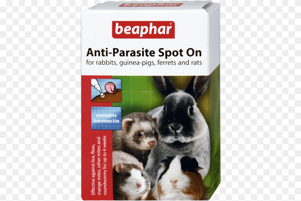 Beaphar Anti Parasite Spot On Beaphar Anti Parasite Spot, Animal, Mammal, Rat, Rodent Free Transparent Png