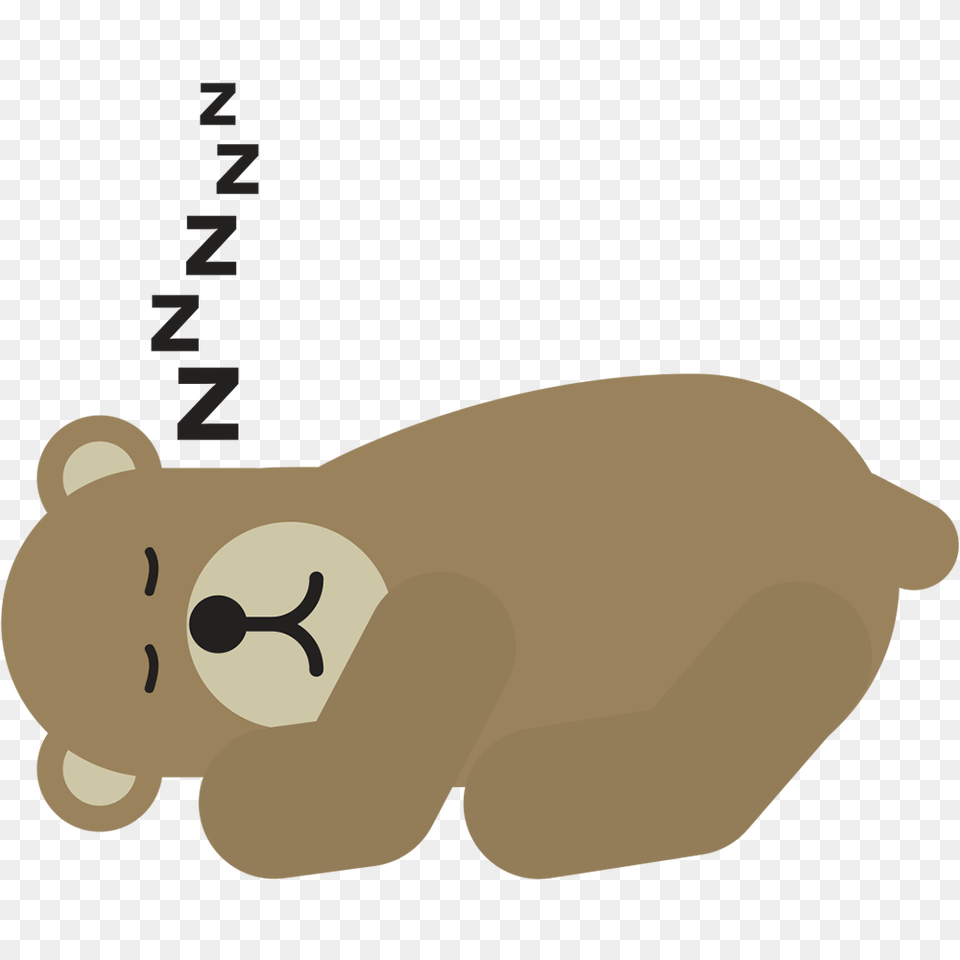 Bear, Animal Png