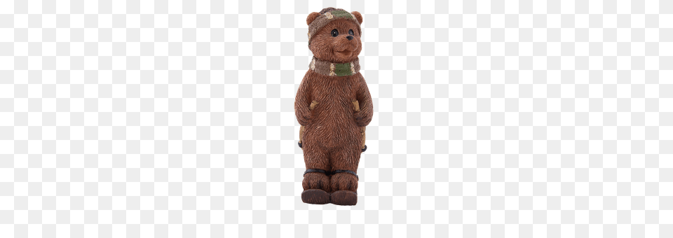 Bear Teddy Bear, Toy, Plush, Animal Free Png