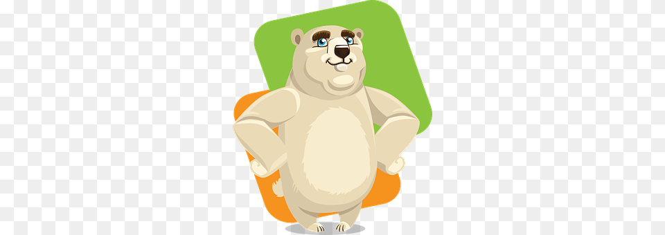 Bear Animal, Mammal, Wildlife Png