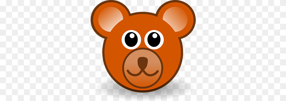 Bear Snout, Animal, Mammal Free Png