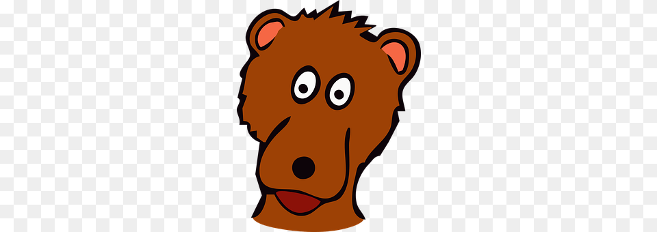 Bear Baby, Person, Face, Head Free Transparent Png
