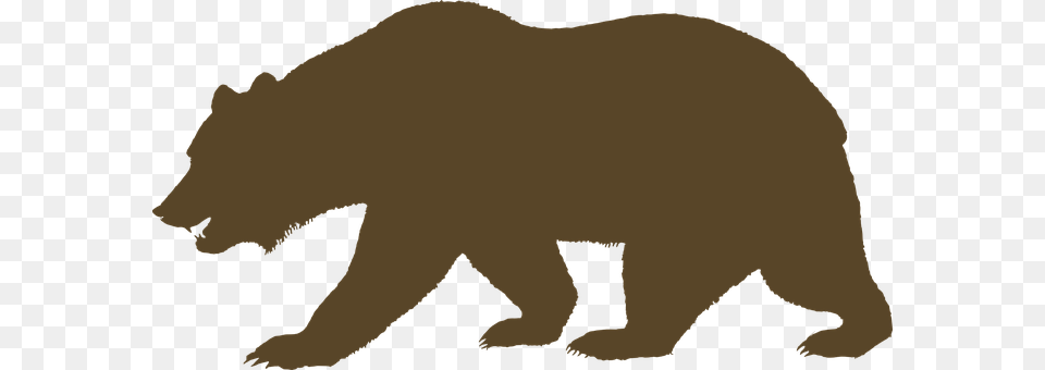 Bear Animal, Mammal, Wildlife, Brown Bear Free Png
