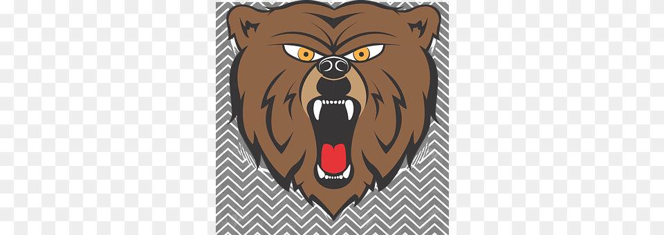 Bear Animal, Lion, Mammal, Wildlife Free Png Download