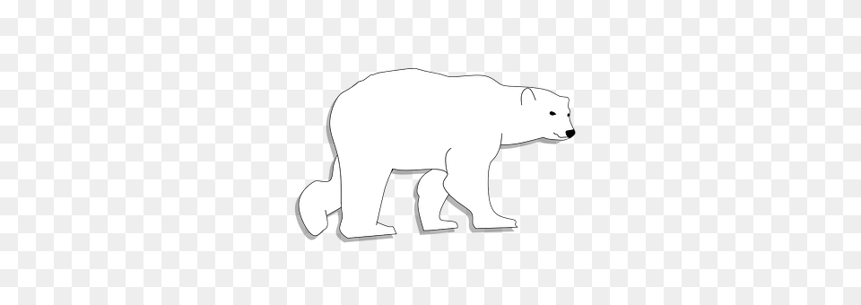 Bear Stencil, Silhouette Png Image