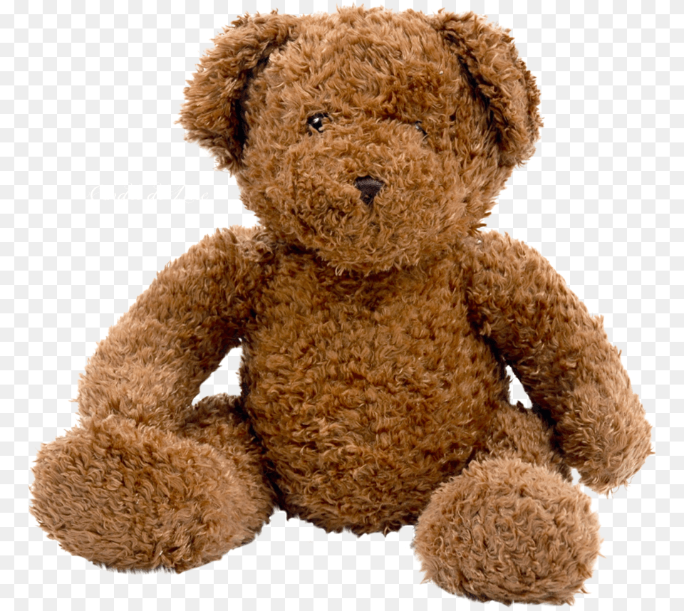 Bear, Teddy Bear, Toy Free Transparent Png