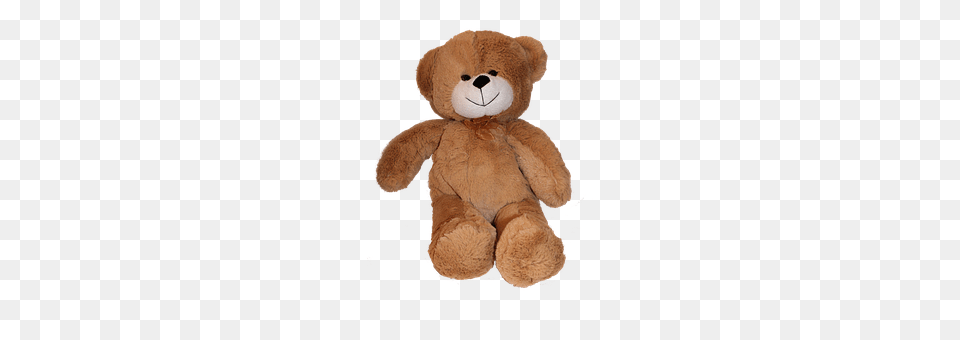 Bear Teddy Bear, Toy Free Png