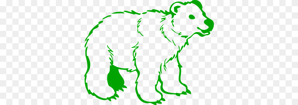 Bear Green, Person, Animal, Pet Png