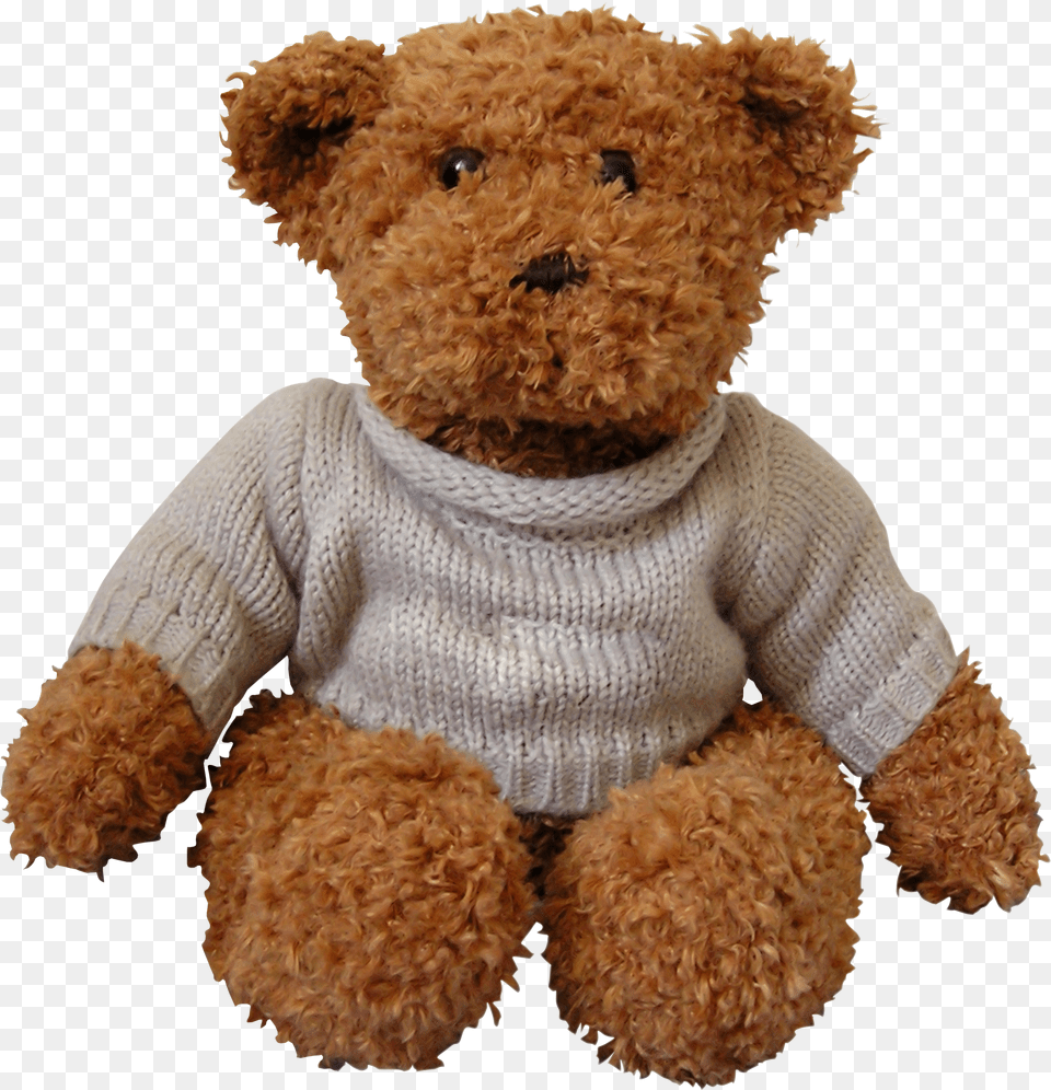 Bear, Toy, Teddy Bear, Clothing, Knitwear Free Png
