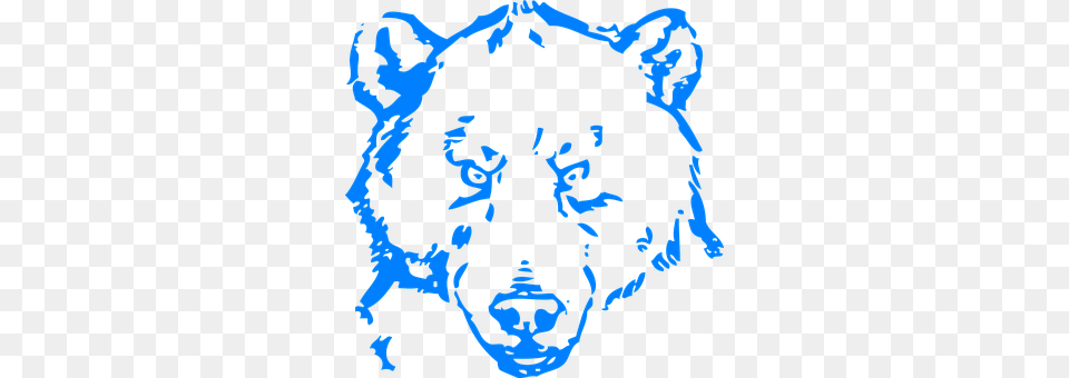 Bear Person, Stencil, Face, Head Free Png Download