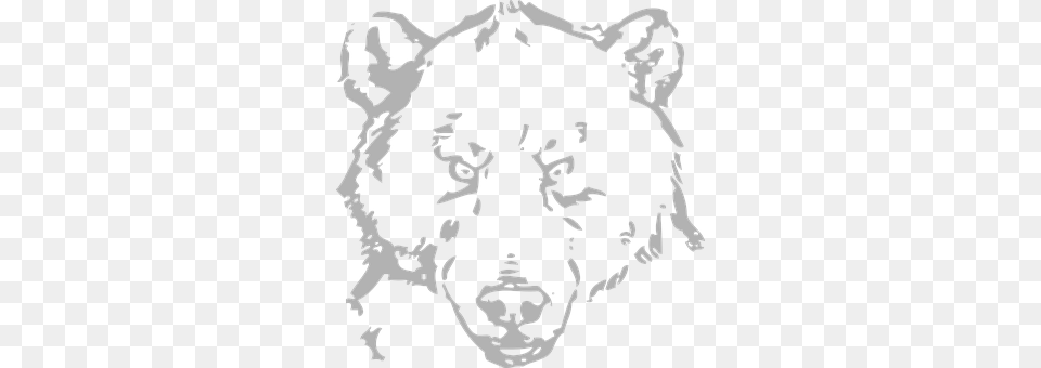 Bear Stencil, Adult, Wedding, Person Png Image