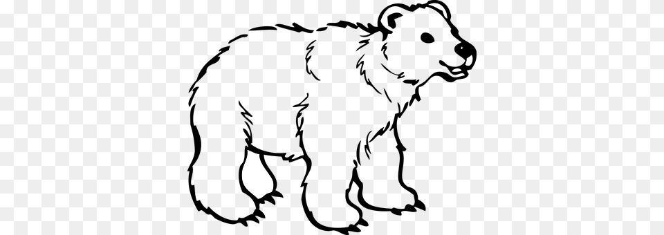 Bear Silhouette, Lighting Png Image