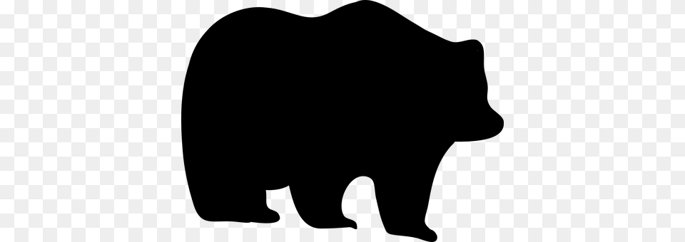 Bear Png