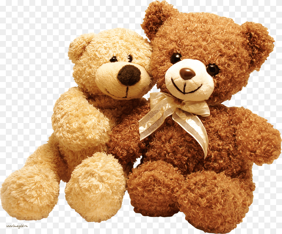 Bear Png