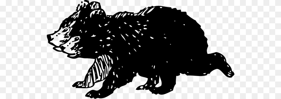 Bear Gray Free Transparent Png