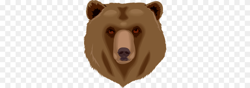 Bear Person, Animal, Brown Bear, Mammal Free Png