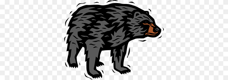 Bear Animal, Mammal, Wolf, Bird Png Image