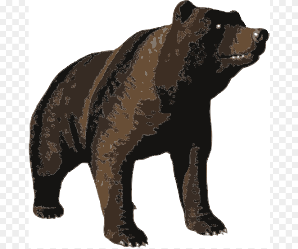 Bear, Animal, Mammal, Wildlife, Brown Bear Free Transparent Png