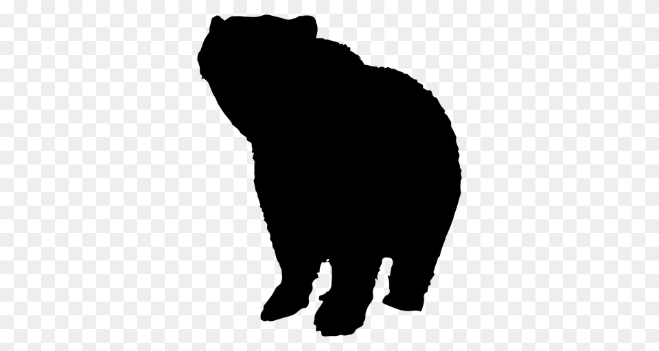 Bear Animal Silhouette, Gray Png Image