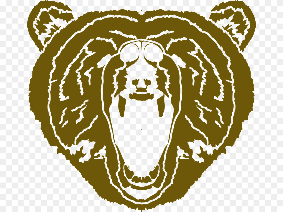 Bear Bear Face Mascot Animal Grizzly Illustration, Person, Head Free Png