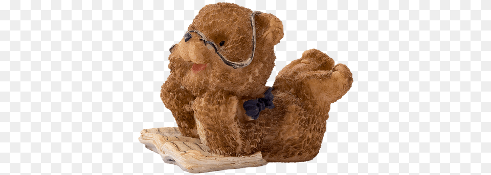 Bear Book Ceramic Isolated Read Brown Funny Books Reading Teddy Bear, Teddy Bear, Toy Free Transparent Png