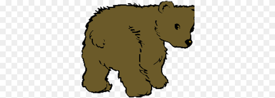 Bear Butt Bearbuttknitter Twitter Bear Coloring, Animal, Mammal, Wildlife, White Board Png