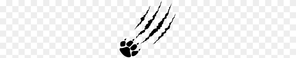 Bear Claw, Gray Free Png