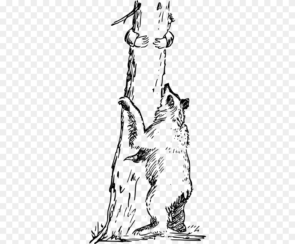 Bear Climbing Tree Drawing, Gray Free Png