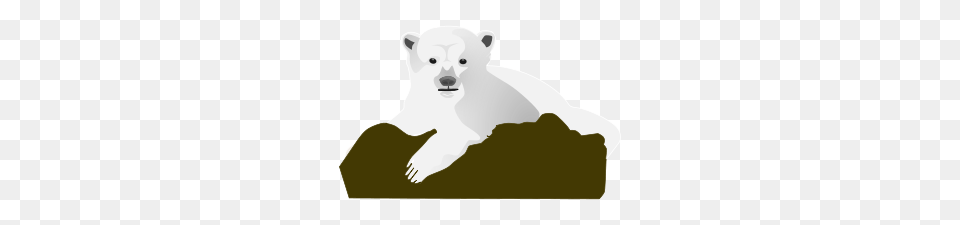 Bear Clipart Bear Icons, Animal, Mammal, Wildlife, Polar Bear Png Image