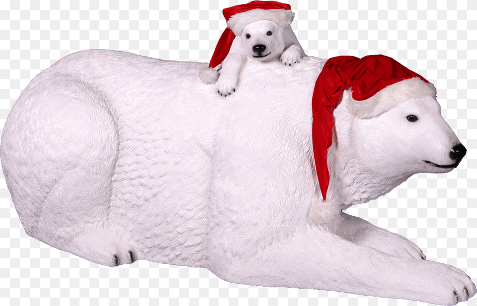 Bear Cub, Animal, Mammal, Wildlife, Polar Bear Free Transparent Png