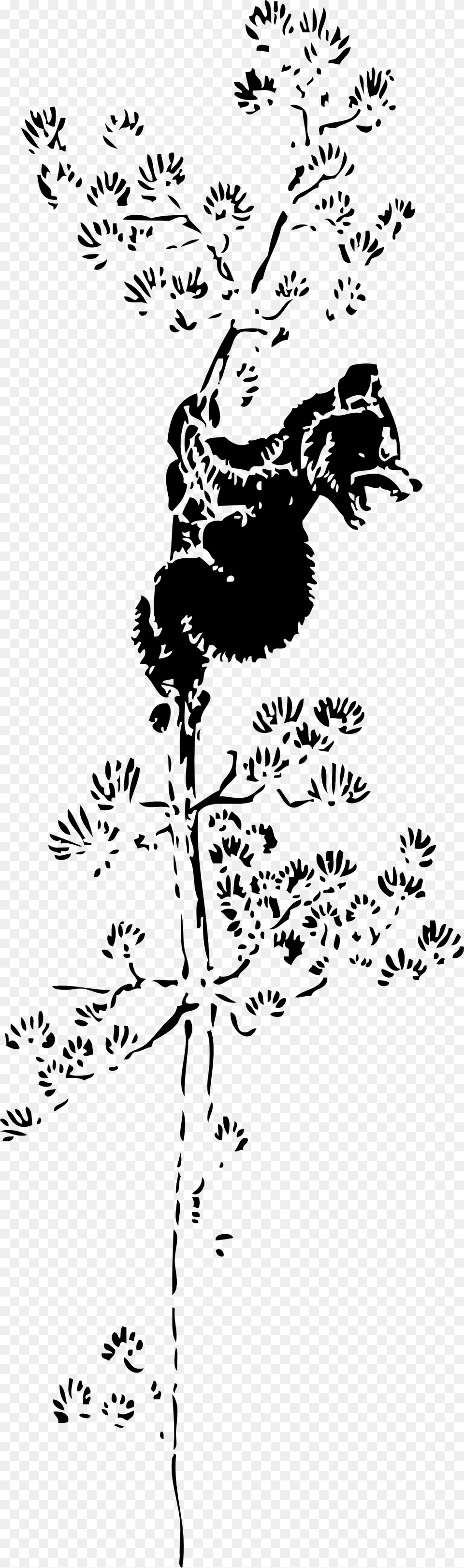 Bear Cub In Tree Silhouette, Stencil, Art, Face, Head Free Transparent Png