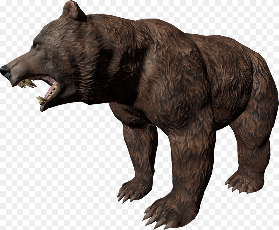 Bear Dayz Bear, Animal, Mammal, Wildlife, Brown Bear Free Png