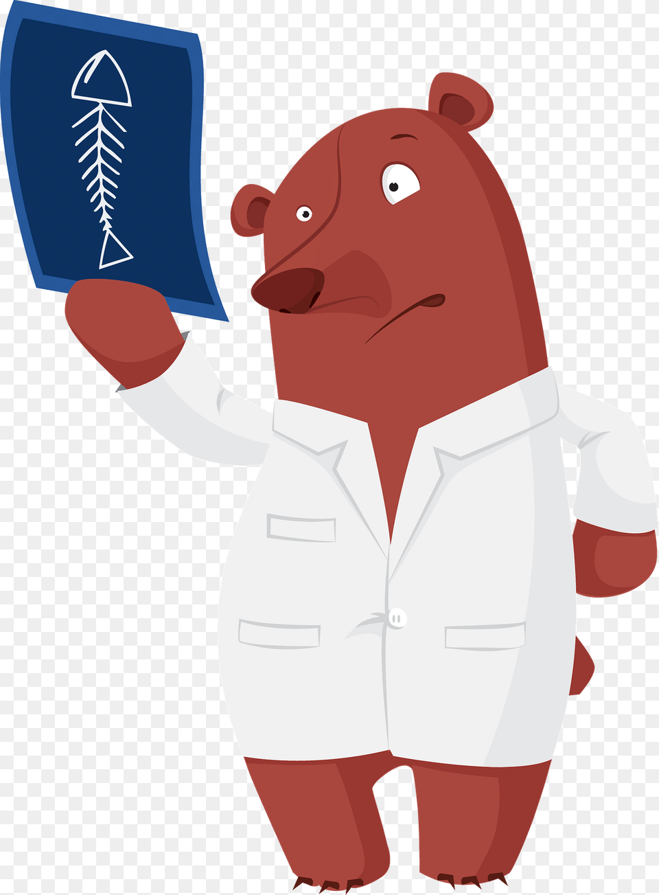 Bear Doctor Clipart, Clothing, Coat, Animal, Mammal Png