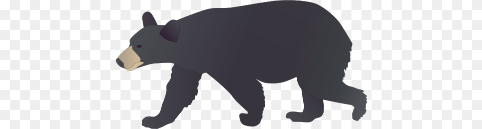 Bear Drawing, Animal, Black Bear, Mammal, Wildlife Png