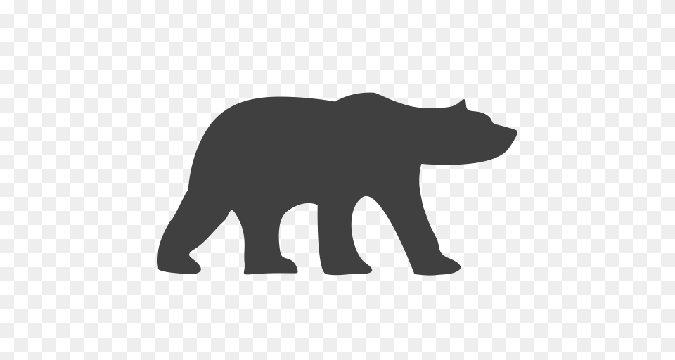 Bear Endangered Polar Bear Icon, Animal, Wildlife, Mammal, Baby Free Transparent Png